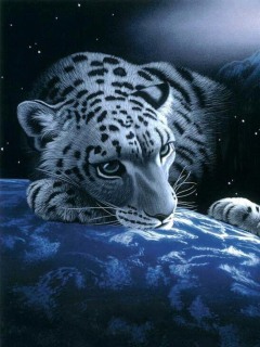 Other Wallpapers 0006